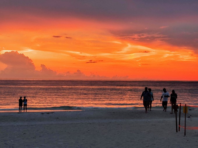 clone tag: -8006056374040846021